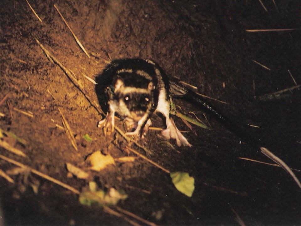 FIGURE 3 FIGURE 3